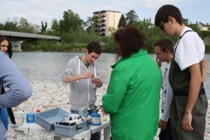 IMG_0409_risultato