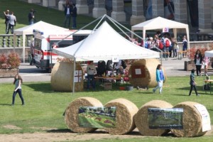 gdt 2015 stand-IMG_0165