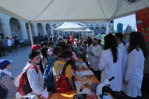 gdt 2015 stand- IMG_2752