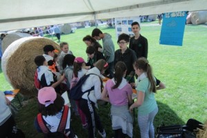 gdt 2015 stand-IMG_2761