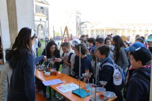 gdt2015 stand - IMG_0126
