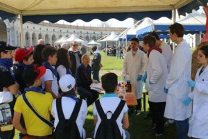 gdt2015 stand-IMG_0131