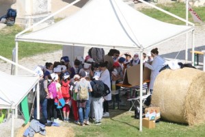gdt2015 stand-IMG_0162